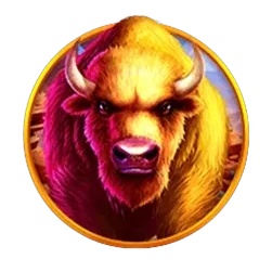 Buffalo
King
